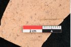 Foto (Detailansicht) von Pinus palaeotaeda Ettingshausen (NHMW-GEO-2024-0188-7960)